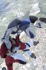 sortie free fly